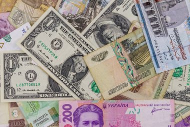 ABD dolarları, Rus rublesi, Beyaz Rusya rublesi, Mısır sterlini ve Ukrayna hrivniası