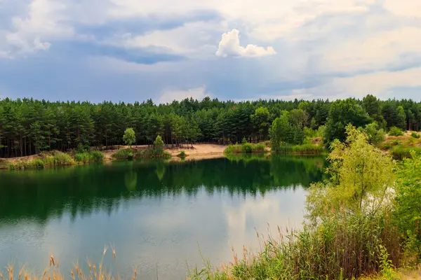 Yazın bir çam ormanında güzel bir göl manzarası