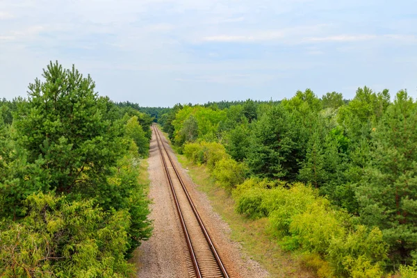 穿过青松林的铁路轨道的空中景观 — 图库照片