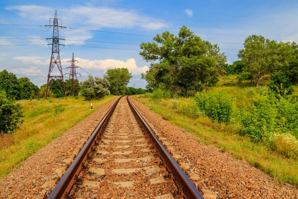 Yeşil bir çam ormanının içinden geçen tren yolu.