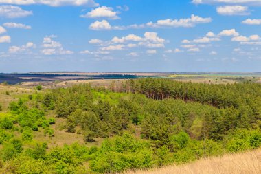 Yeşil ağaçlar, çayırlar, tarlalar ve mavi gökyüzü ile ilkbahar manzarası
