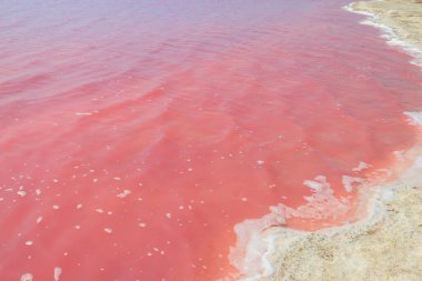 Ukrayna 'nın Kherson bölgesindeki pembe tuzlu Syvash gölünün yüzeyi. Doğal arkaplan, doku