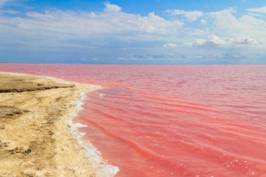 View of the pink salty Syvash lake in Kherson region, Ukraine clipart