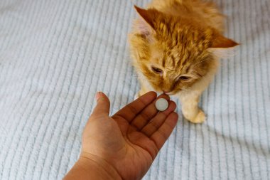 Ginger cat getting a pill from female hand. Concept of taking medicines or vitamins for animals, veterinary medicine, pet care clipart
