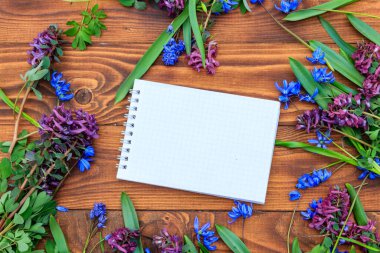 Boş not defteri ve ahşap arka planda mor Corydalis çiçekleri ve mavi scilla çiçekleri. Sevgililer Günü, Kadınlar Günü ve Anneler Günü için tebrik kartı. Üst görünüm, alanı kopyala