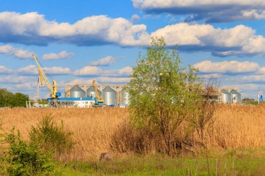 Tahıl depolamak için modern tahıl ambarları