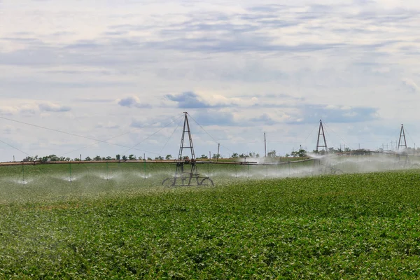 Grand Système Irrigation Agricole Dans Champ — Photo