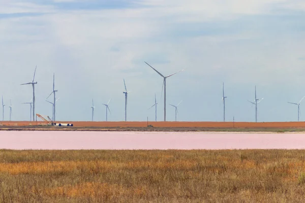 Wind Turbines Shore Pink Salty Syvash Lake Kherson Region Ukraine — Stock Photo, Image