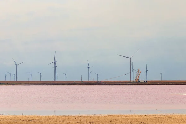 Wind Turbines Shore Pink Salty Syvash Lake Kherson Region Ukraine — Stock Photo, Image