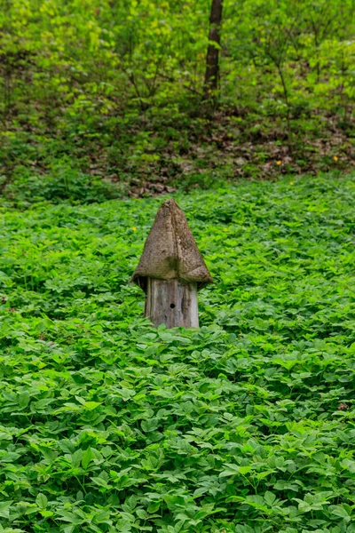 Oude Houten Bijenkorf Oude Landelijke Bijenstal — Stockfoto