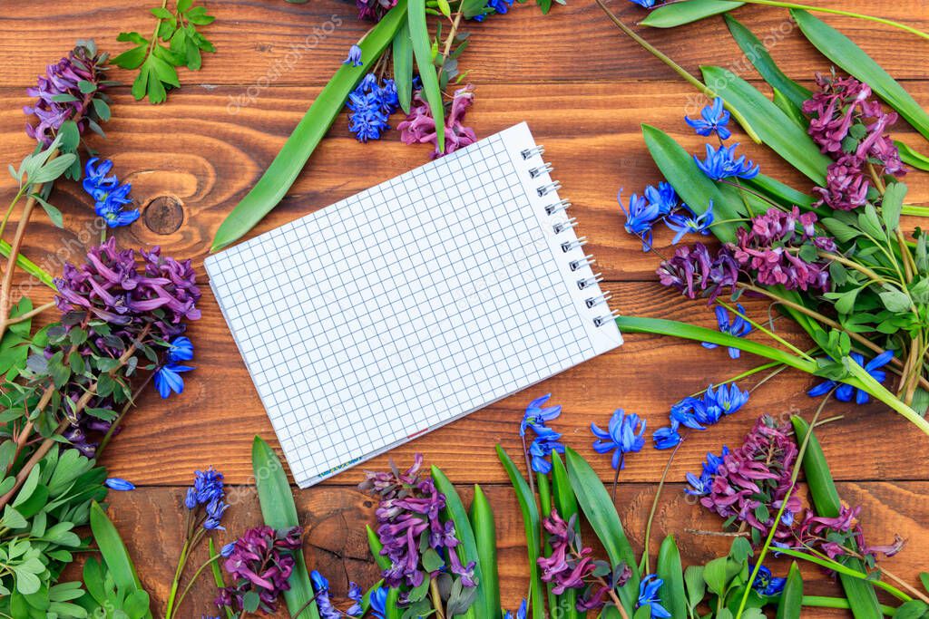 Blank notepad and bouquet of purple corydalis flowers and blue scilla flowers on wooden background. Greeting card for Valentine's Day, Women's Day and Mother's Day. Top view, copy space