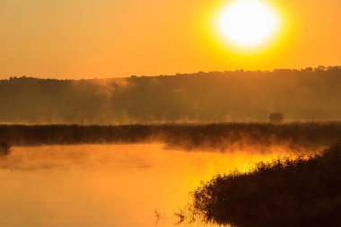 Gün doğumunda sisli nehir manzarası. Sabaha karşı sisli