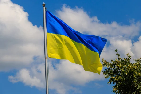 Kék Háttér Ukrajna Zászlaja — Stock Fotó