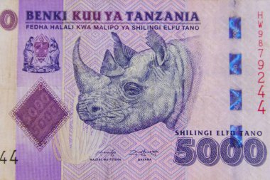 Beş bin Tanzanya şilininin makro çekimi.