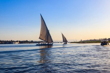 Felucca tekneleri Lüksör, Mısır 'da Nil nehrinde yelken açıyorlar. Geleneksel Mısır yelkenli tekneleri