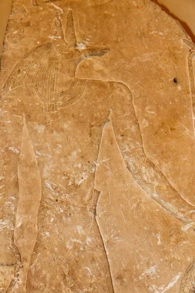 Αρχαία Αιγυπτιακή Θεός Anubis Απεικονίζεται Κεφάλι Ενός Τσακαλιού Anubis Είναι — Φωτογραφία Αρχείου