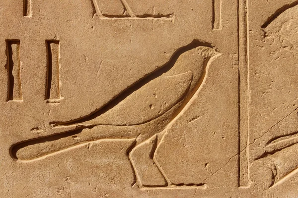 Antigos Hieróglifos Egípcios Parede Complexo Templo Karnak Luxor Egito — Fotografia de Stock