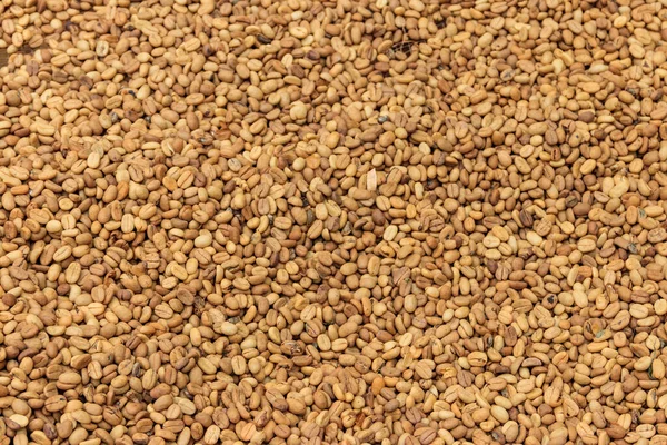 Background Raw Coffee Beans — Stock Photo, Image