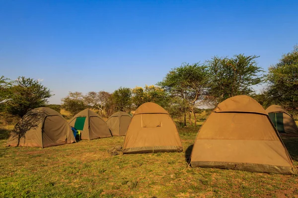 Serengeti Ulusal Parkı 'ndaki Safari kamp alanı, Tanzanya