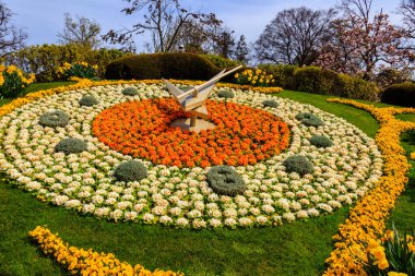 İsviçre, Cenevre 'de güzel bir çiçek saati.