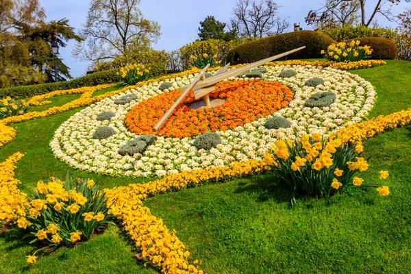 Прекрасний Квітковий Годинник Женеві Швейцарія Стокове Фото