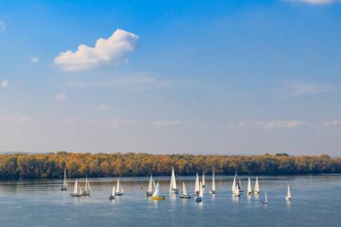 Kremenchug, Ukrayna 'daki Dinyeper Nehri' ndeki yelkenli yarışlarında yatlar