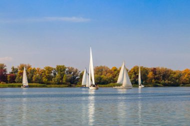 Kremenchug, Ukrayna 'daki Dinyeper Nehri' ndeki yelkenli yarışlarında yatlar