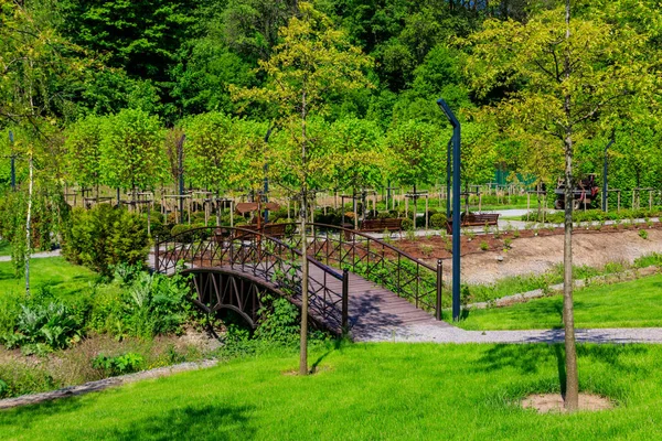 Bella Vista Sul Parco Della Città Con Passerella Arco Sul — Foto Stock