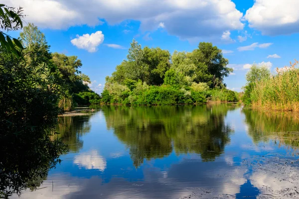 Літній Пейзаж Красивою Річкою Зеленими Деревами Блакитним Небом — стокове фото