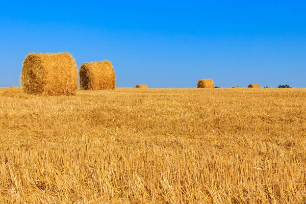 Straw Bales Field Grain Harvest — Stock Photo, Image