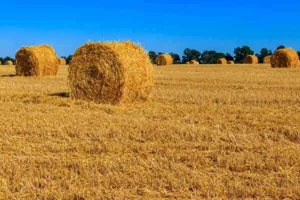 Ronde Strobalen Een Veld Graanoogst — Stockfoto