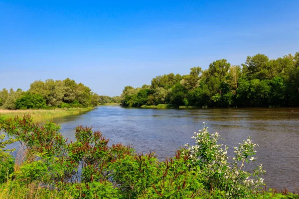 Spring Landscape Beautiful River Green Trees Blue Sky Royalty Free Stock Images