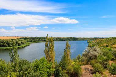 Güzel bir nehir, yeşil ağaçlar ve mavi gökyüzü olan yaz manzarası