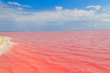 Ukrayna 'nın Kherson bölgesindeki pembe tuzlu Syvash Gölü manzarası