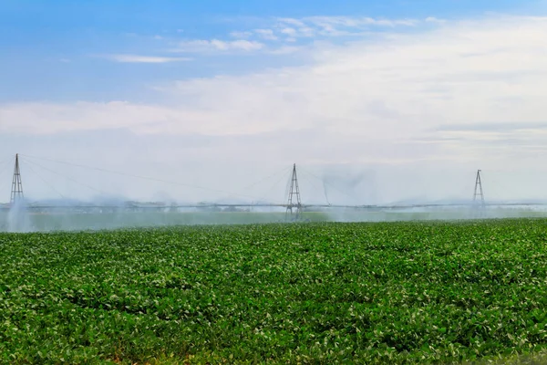 Grand Système Irrigation Agricole Dans Champ — Photo