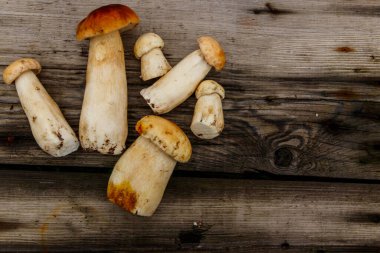 Köy ahşap masada taze toplanmış porcini mantarları. Üst görünüm