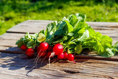 Kırsal ahşap masada yaprakları olan taze kırmızı turp.