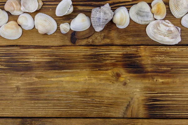 素朴な木製の背景に海のシェル トップビュー コピースペース — ストック写真
