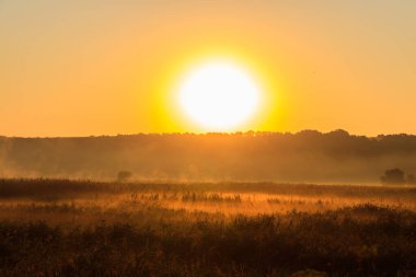 Sisli bir çayırda güzel bir gün doğumu