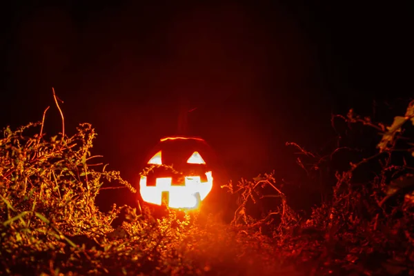 Spooky Halloween Zucca Jack Lanterna Con Candele Ardenti Nella Foresta — Foto Stock