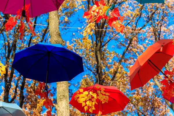 Різнокольорові Парасольки Осінньому Парку Барвисті Парасольки Звисають Між Деревами Восени — стокове фото