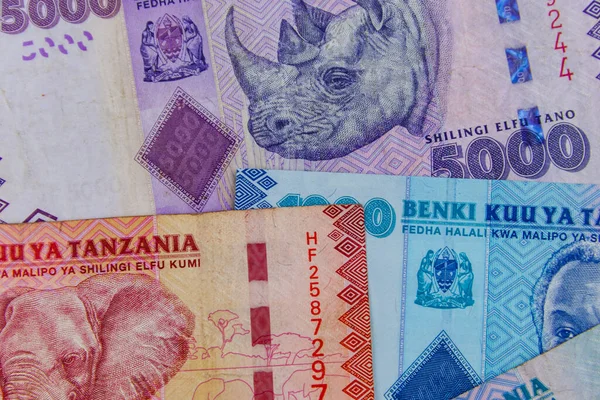 Tanzániai Shillingek Különböző Bankjegyeinek Háttere — Stock Fotó