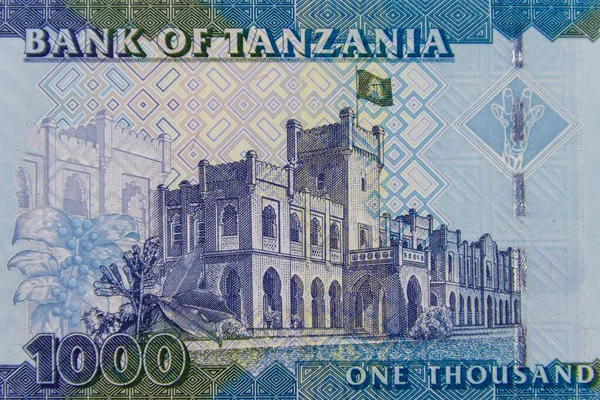 Makró Felvétel Ezer Tanzániai Shilling Bankjegyről — Stock Fotó
