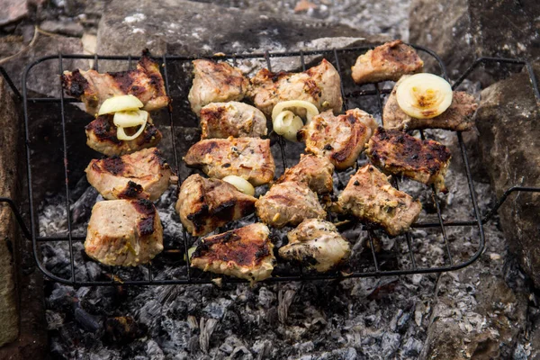 Izgarada Domuz Eti Kızartılıyor Kömürde Barbekü Yakın — Stok fotoğraf