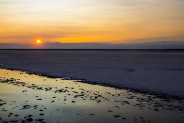 Tuzlu Siwash mikroalg tarafından antioksidan özellikleri için ünlü renkli göl su beta-karoten tarafından günbatımında zenginleştirici, pembe