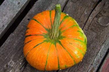 Kırsal ahşap masadaki balkabağı