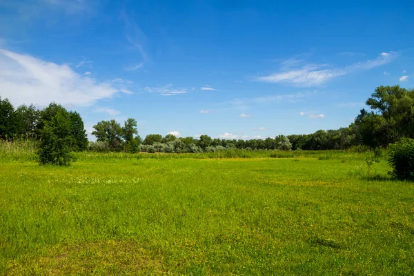 Zomer Landschap Met Groene Bomen Weide Blauwe Hemel — Stockfoto