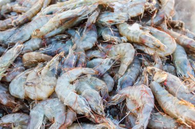 Fresh raw prawns for sale at fish market