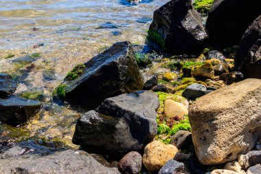 Bulgaristan 'da Karadeniz' in taşlı kıyıları