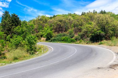 Yeşil bir ormanda asfalt kıvrımlı bir yol